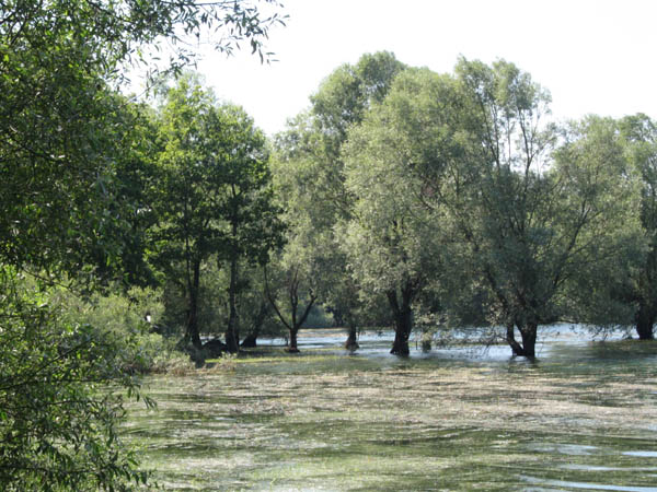 lac d'orient
