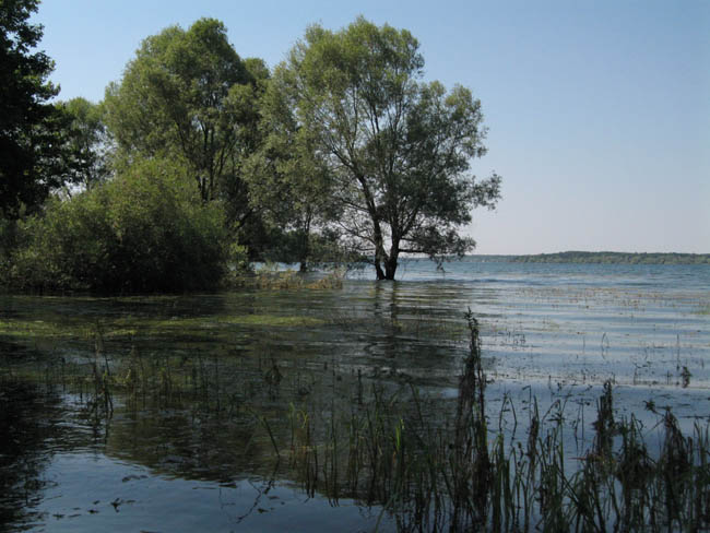 lac d'orient