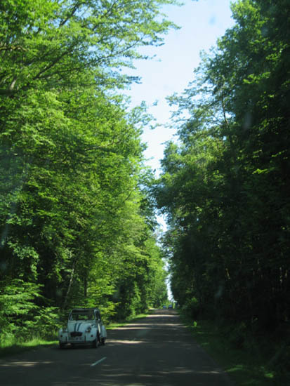 foret d'orient
