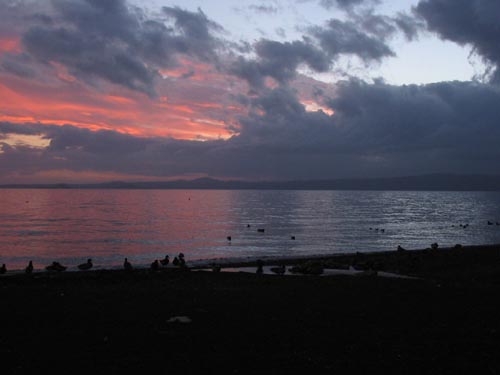 lagho di bolsena