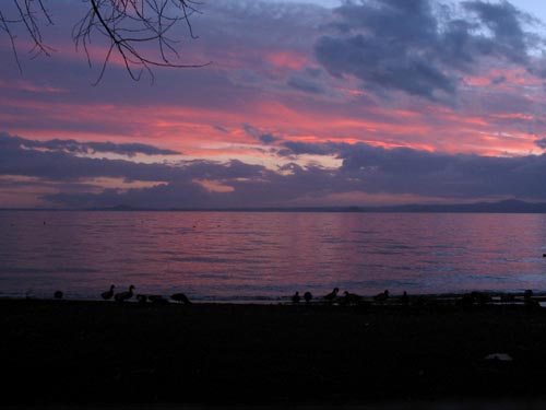 lagho di bolsena